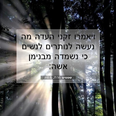 Picture 07 - שפטים 21:16 HEB - ויאמרו זקני העדה מה נעשה - Bible Verse Picture