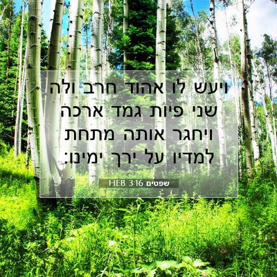 Picture 07 - שפטים 3:16 HEB - ויעש לו אהוד חרב ולה שני - Bible Verse Picture