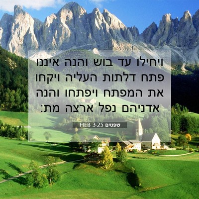 Picture 07 - שפטים 3:25 HEB - ויחילו עד בוש והנה איננו - Bible Verse Picture