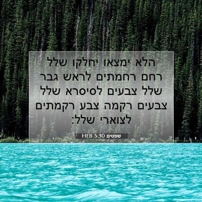 Picture 07 - שפטים 5:30 HEB - הלא ימצאו יחלקו שלל רחם - Bible Verse Picture