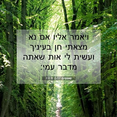 Picture 07 - שפטים 6:17 HEB - ויאמר אליו אם נא מצאתי חן - Bible Verse Picture