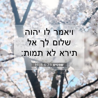 Picture 07 - שפטים 6:23 HEB - ויאמר לו יהוה שלום לך אל - Bible Verse Picture