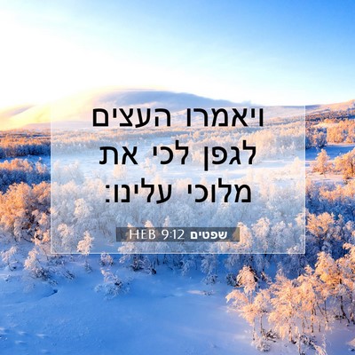 Picture 07 - שפטים 9:12 HEB - ויאמרו העצים לגפן לכי את - Bible Verse Picture
