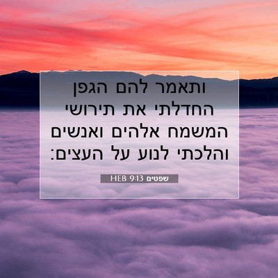 Picture 07 - שפטים 9:13 HEB - ותאמר להם הגפן החדלתי את - Bible Verse Picture