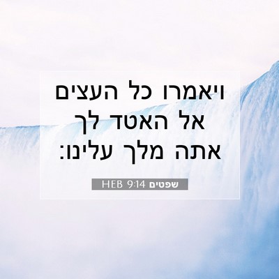 Picture 07 - שפטים 9:14 HEB - ויאמרו כל העצים אל האטד לך - Bible Verse Picture