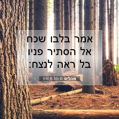 Picture 07 - תהלים 10:11 HEB - אמר בלבו שכח אל הסתיר פניו - Bible Verse Picture