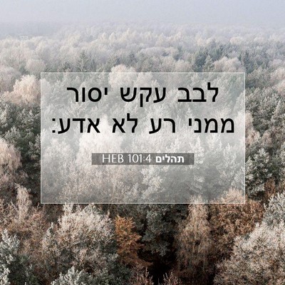 Picture 07 - תהלים 101:4 HEB - לבב עקש יסור ממני רע לא - Bible Verse Picture
