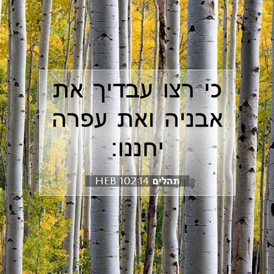 Picture 07 - תהלים 102:14 HEB - כי רצו עבדיך את אבניה ואת - Bible Verse Picture