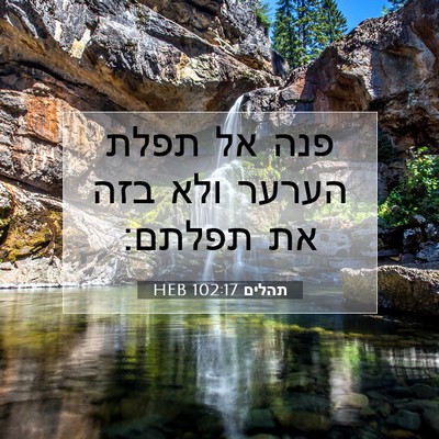 Picture 07 - תהלים 102:17 HEB - פנה אל תפלת הערער ולא בזה - Bible Verse Picture