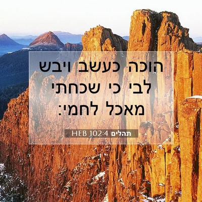 Picture 07 - תהלים 102:4 HEB - הוכה כעשב ויבש לבי כי שכחתי - Bible Verse Picture