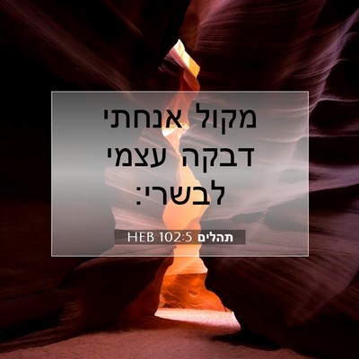 Picture 07 - תהלים 102:5 HEB - מקול אנחתי דבקה עצמי - Bible Verse Picture