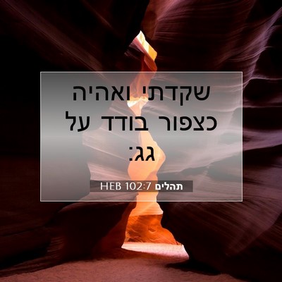 Picture 07 - תהלים 102:7 HEB - שקדתי ואהיה כצפור בודד על - Bible Verse Picture