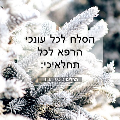 Picture 07 - תהלים 103:3 HEB - הסלח לכל עונכי הרפא לכל - Bible Verse Picture