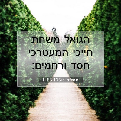 Picture 07 - תהלים 103:4 HEB - הגואל משחת חייכי המעטרכי - Bible Verse Picture