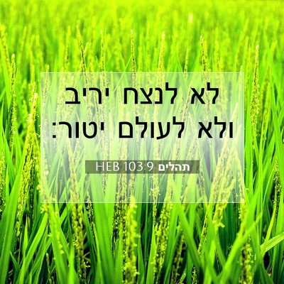 Picture 07 - תהלים 103:9 HEB - לא לנצח יריב ולא לעולם - Bible Verse Picture