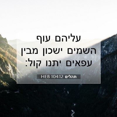 Picture 07 - תהלים 104:12 HEB - עליהם עוף השמים ישכון מבין - Bible Verse Picture