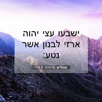 Picture 07 - תהלים 104:16 HEB - ישבעו עצי יהוה ארזי לבנון - Bible Verse Picture