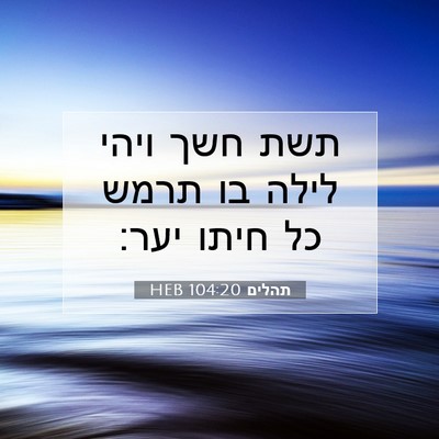 Picture 07 - תהלים 104:20 HEB - תשת חשך ויהי לילה בו תרמש - Bible Verse Picture