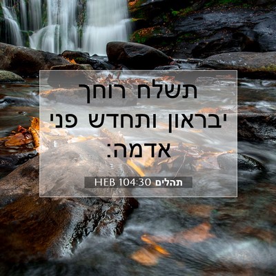 Picture 07 - תהלים 104:30 HEB - תשלח רוחך יבראון ותחדש פני - Bible Verse Picture