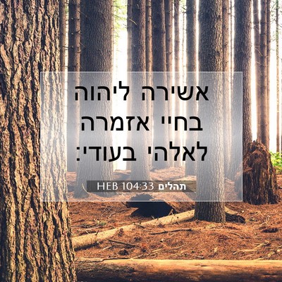 Picture 07 - תהלים 104:33 HEB - אשירה ליהוה בחיי אזמרה - Bible Verse Picture