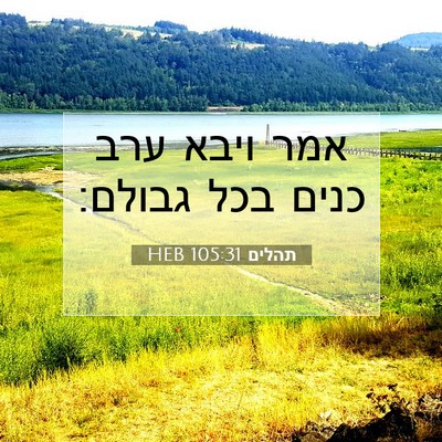 Picture 07 - תהלים 105:31 HEB - אמר ויבא ערב כנים בכל - Bible Verse Picture