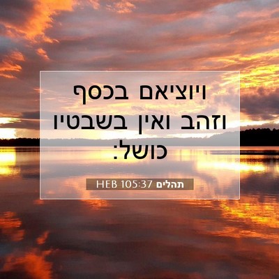 Picture 07 - תהלים 105:37 HEB - ויוציאם בכסף וזהב ואין - Bible Verse Picture