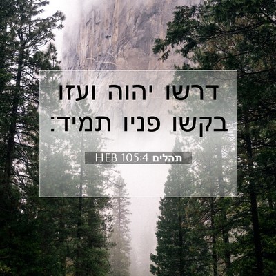 Picture 07 - תהלים 105:4 HEB - דרשו יהוה ועזו בקשו פניו - Bible Verse Picture