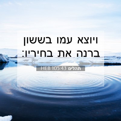 Picture 07 - תהלים 105:43 HEB - ויוצא עמו בששון ברנה את - Bible Verse Picture