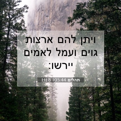 Picture 07 - תהלים 105:44 HEB - ויתן להם ארצות גוים ועמל - Bible Verse Picture