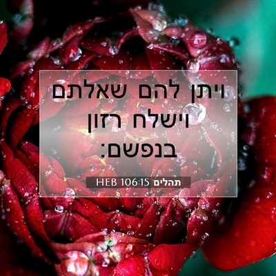 Picture 07 - תהלים 106:15 HEB - ויתן להם שאלתם וישלח רזון - Bible Verse Picture