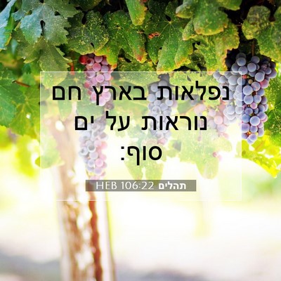 Picture 07 - תהלים 106:22 HEB - נפלאות בארץ חם נוראות על ים - Bible Verse Picture