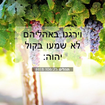 Picture 07 - תהלים 106:25 HEB - וירגנו באהליהם לא שמעו - Bible Verse Picture