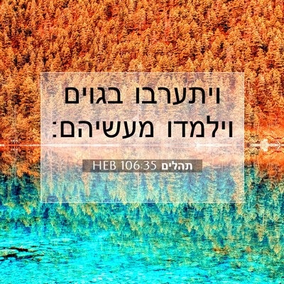 Picture 07 - תהלים 106:35 HEB - ויתערבו בגוים וילמדו - Bible Verse Picture
