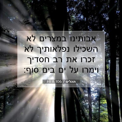 Picture 07 - תהלים 106:7 HEB - אבותינו במצרים לא השכילו - Bible Verse Picture