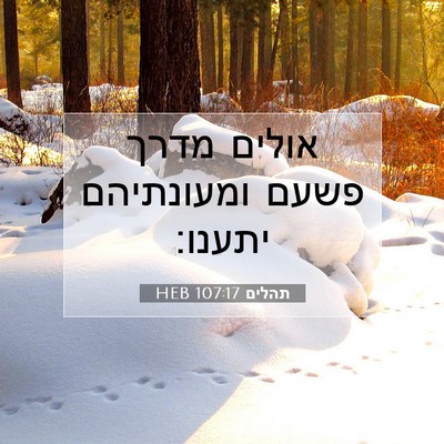 Picture 07 - תהלים 107:17 HEB - אולים מדרך פשעם ומעונתיהם - Bible Verse Picture