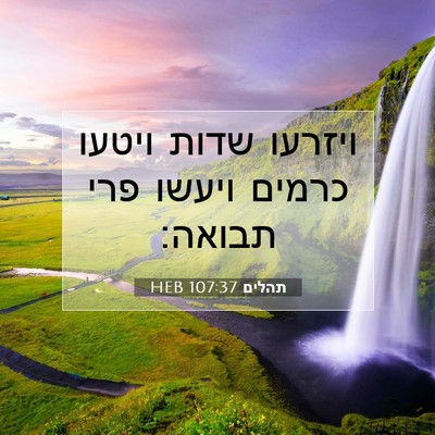 Picture 07 - תהלים 107:37 HEB - ויזרעו שדות ויטעו כרמים - Bible Verse Picture