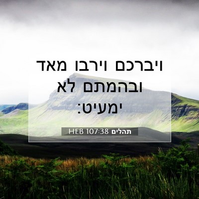 Picture 07 - תהלים 107:38 HEB - ויברכם וירבו מאד ובהמתם לא - Bible Verse Picture