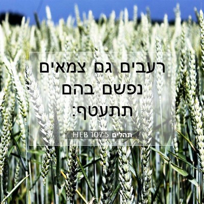 Picture 07 - תהלים 107:5 HEB - רעבים גם צמאים נפשם בהם - Bible Verse Picture