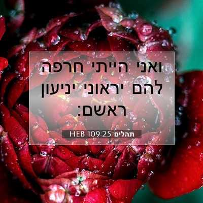Picture 07 - תהלים 109:25 HEB - ואני הייתי חרפה להם יראוני - Bible Verse Picture