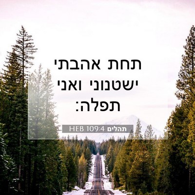 Picture 07 - תהלים 109:4 HEB - תחת אהבתי ישטנוני ואני - Bible Verse Picture