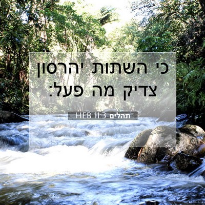Picture 07 - תהלים 11:3 HEB - כי השתות יהרסון צדיק מה - Bible Verse Picture
