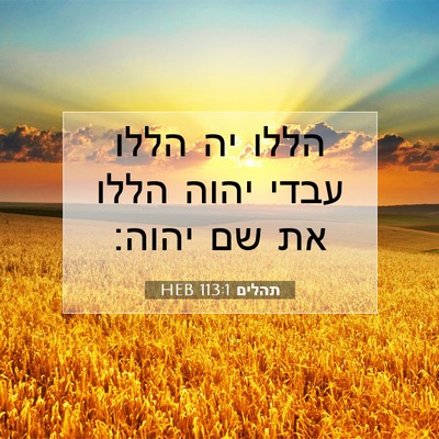 Picture 07 - תהלים 113:1 HEB - הללו יה הללו עבדי יהוה הללו - Bible Verse Picture