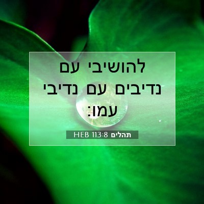 Picture 07 - תהלים 113:8 HEB - להושיבי עם נדיבים עם נדיבי - Bible Verse Picture
