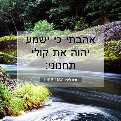 Picture 07 - תהלים 116:1 HEB - אהבתי כי ישמע יהוה את קולי - Bible Verse Picture