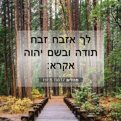 Picture 07 - תהלים 116:17 HEB - לך אזבח זבח תודה ובשם יהוה - Bible Verse Picture