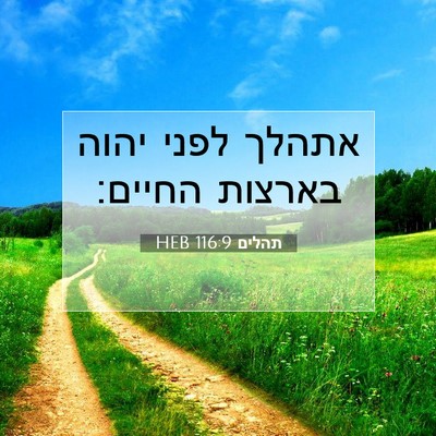 Picture 07 - תהלים 116:9 HEB - אתהלך לפני יהוה בארצות - Bible Verse Picture