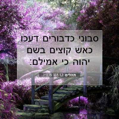 Picture 07 - תהלים 118:12 HEB - סבוני כדבורים דעכו כאש - Bible Verse Picture