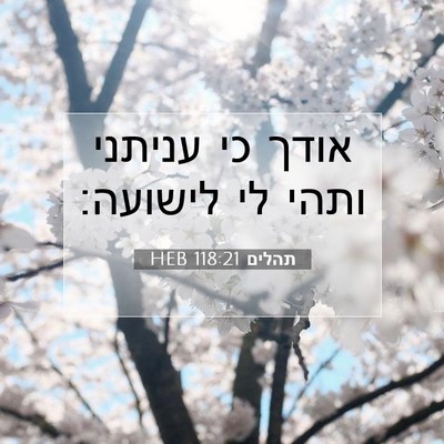 Picture 07 - תהלים 118:21 HEB - אודך כי עניתני ותהי לי - Bible Verse Picture