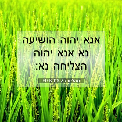 Picture 07 - תהלים 118:25 HEB - אנא יהוה הושיעה נא אנא יהוה - Bible Verse Picture