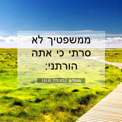 Picture 07 - תהלים 119:102 HEB - ממשפטיך לא סרתי כי אתה - Bible Verse Picture